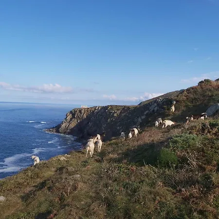 O Forno Affittacamere 3*